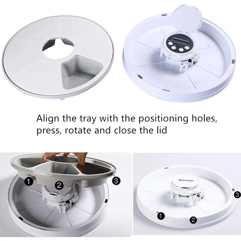 Distributeur automatique pour chats — Rappel vocal & minuterie