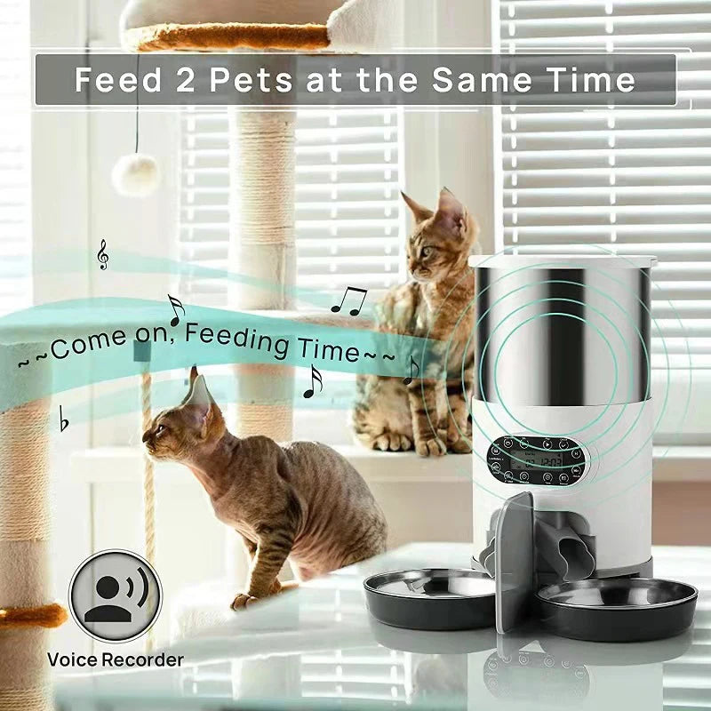 Mangeoire automatique inox pour chats — Double repas & app WiFi