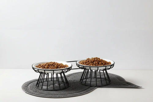 Bol surélevé céramique pour chats