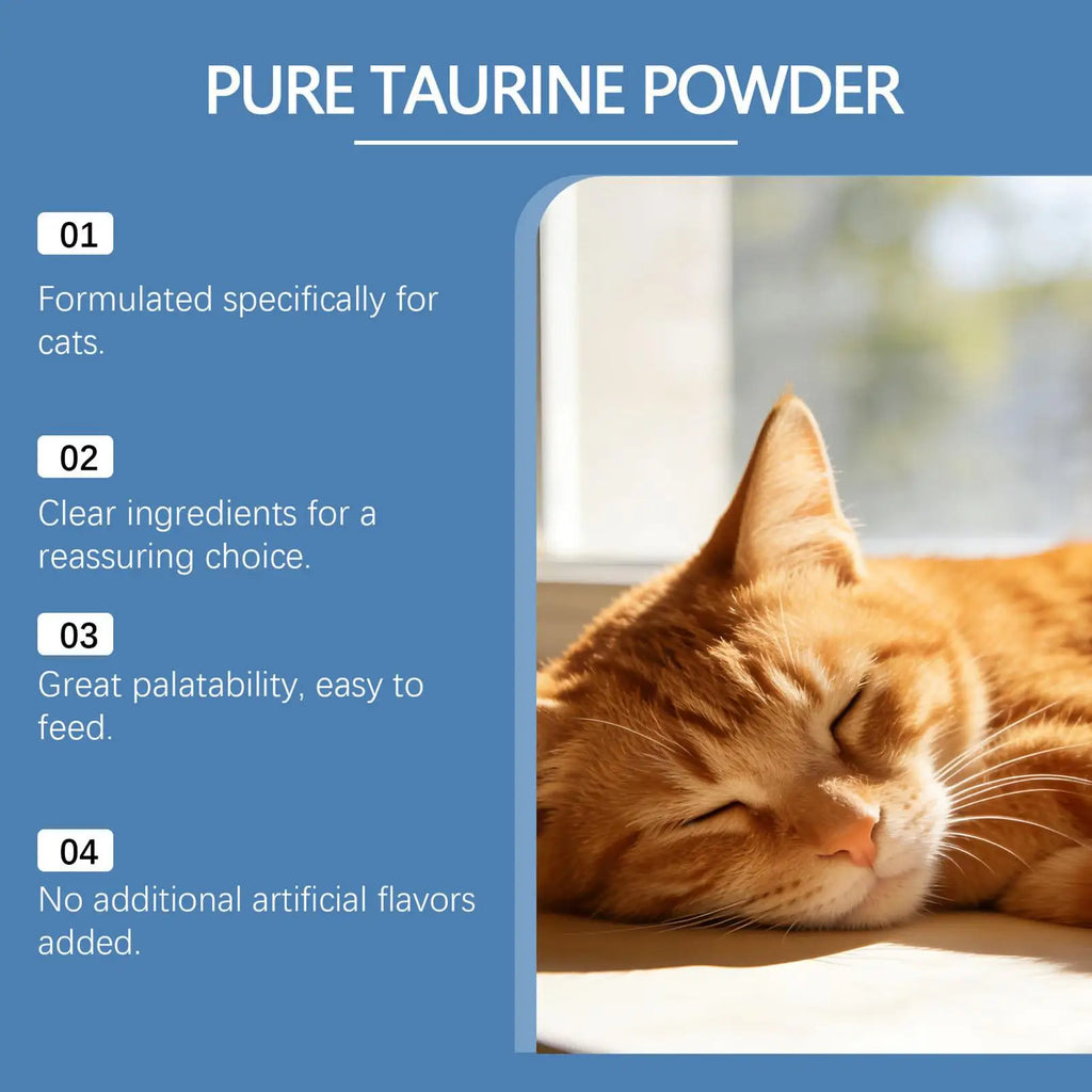 Supplément nutritionnel quotidien pour chats – 200g | Mobilité & vitalité